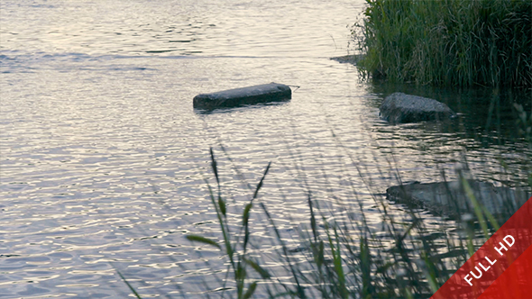 Rocks and Vegetation by the Lake