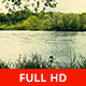 Bird and River Flowing - VideoHive Item for Sale