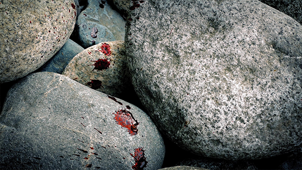 Blood Spatters On Rocks