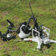 Drone UAV Collision Crash - VideoHive Item for Sale