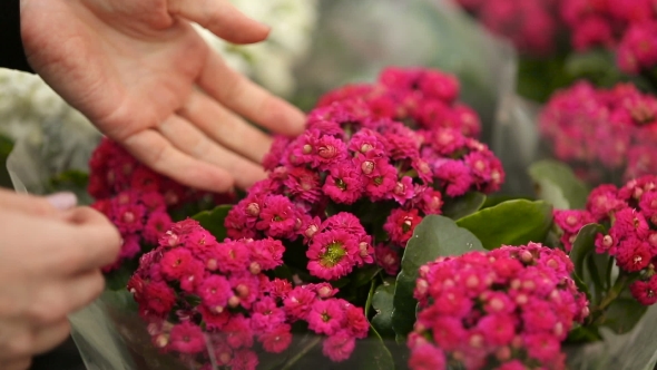 Choosing Flower Bouquet