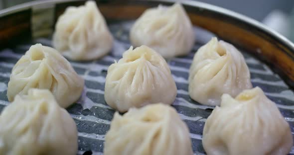 Steamed chinese meat dumpling