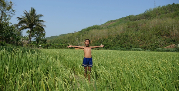 Boy Open Arms In Rice Field