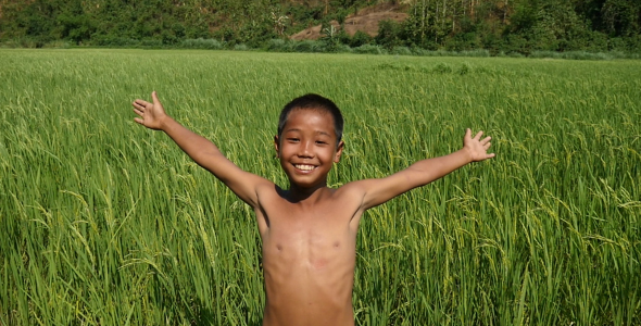 Boy Happy With Arms Outstretched In Rice Field