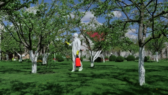 Man In Protective Clothing Working In The Yard