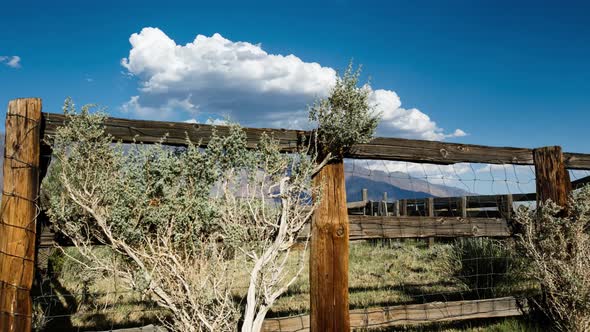 Time Lapse of a Cattle Pen