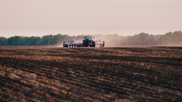 The Tractor Works In a Field, Sunflower Sows