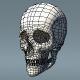 Human Skull Polygon Mesh V1.0 - 3DOcean Item for Sale