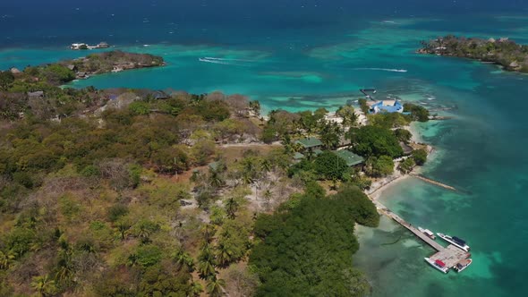 Beautiful Tropical Island with Beach and Coconut Palm Tree Aerial View