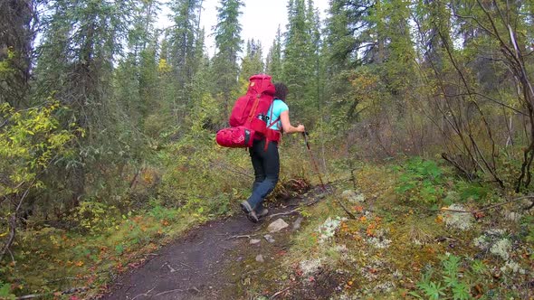 Adventure Girl With Snowshoes Hiking on Top of the Mountain