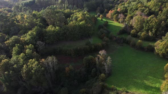 Drone flying above dense forest and Green Fields