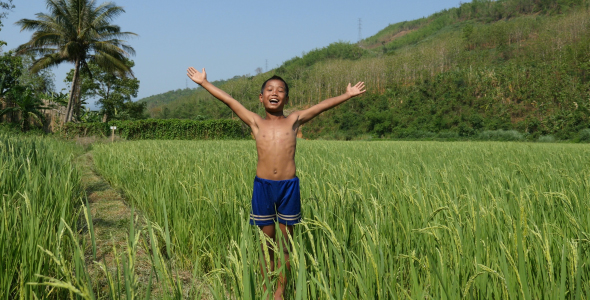 Boy Happy In Rice Field