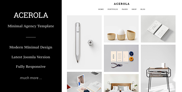 Acerola - Ultra Minimalist Agency, Portfolio & Photography Joomla Template