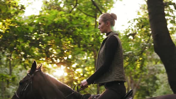 Horse Riding in the Summer Forest