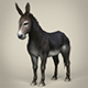 Game Ready Realistic Donkey - 3DOcean Item for Sale