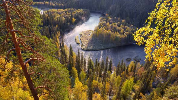 Autumn Nature Landscape. Oulanka National Park, Finland. Idyllic Picture of Yellowed and Evergreen