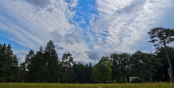 Park Clouds