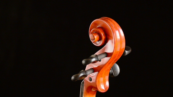 Violin Scroll Gyrating