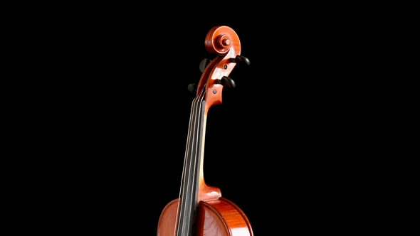 Viola Neck Gyrating at Black Background