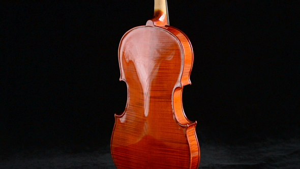 Viola Backside Gyrating