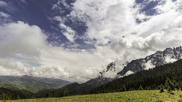 Landscape with Forest And Snowcapped Mountains