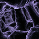 Microscopic Tissue Macro Shot - VideoHive Item for Sale