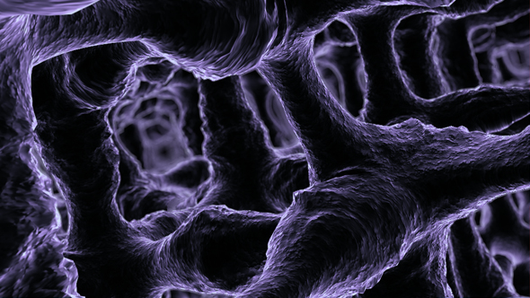 Microscopic Tissue Macro Shot