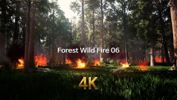 Forest Wild Fire 4K 06