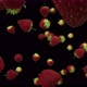 Falling Strawberries - VideoHive Item for Sale
