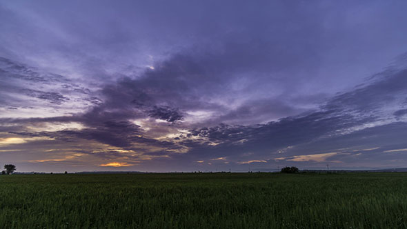 Sunset Over A Field Of Wheat