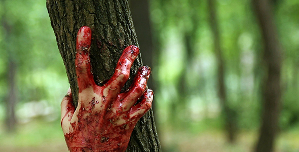 Bloody Hand in a Forest