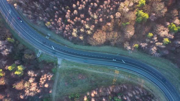 View From the Height of the Traffic on the Road Surrounded By Autumn Forest