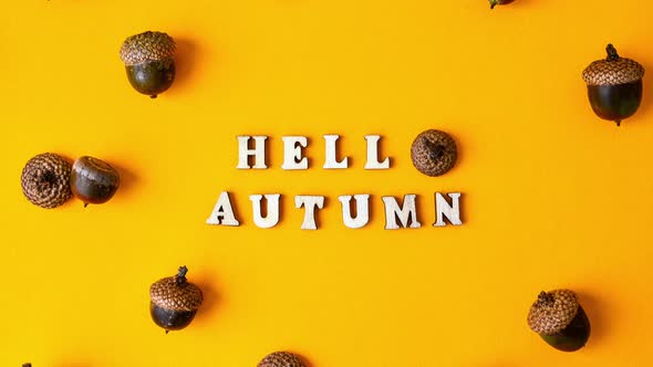 Zoom in Out Inscription HELLO AUTUMN Text Pattern with Acorns on the Yellow Background