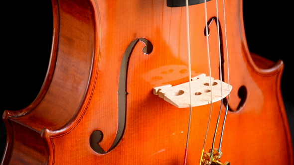 Violin Instrument Gyrating