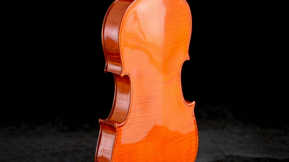 Violin Backside Gyrating