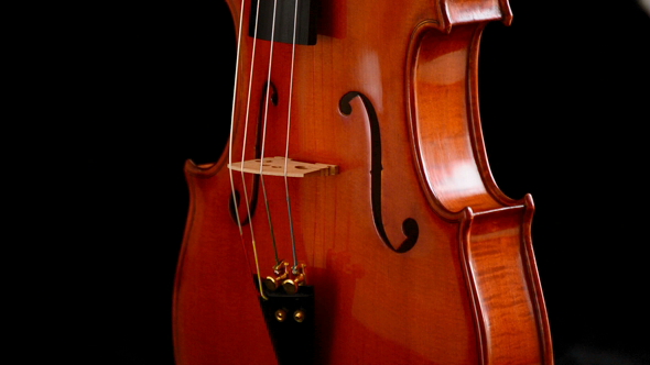 Viola Instrument Gyrating at Black Background