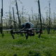 Lifting Drone In Blossom Field - VideoHive Item for Sale