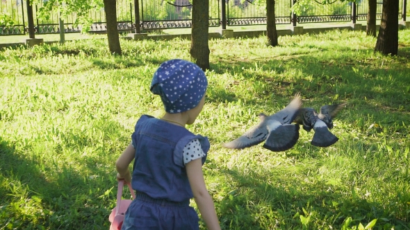 Little Girl Running In The Park. It Accelerates Urban Pigeons, For Her Fun. 