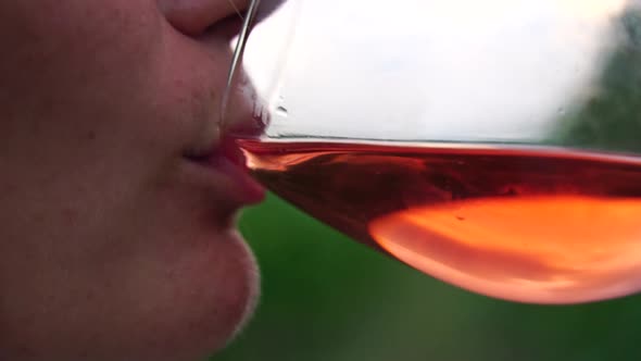 Beautiful Woman Drinks Red Wine From a Glass at Sunset in the Vineyard