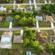 Aerial View of Small Town America Suburban Landscape with Private Homes Between Green Palm Trees in - VideoHive Item for Sale