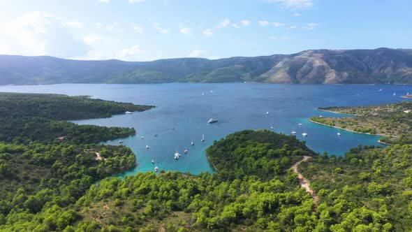 Aerial View of Picturesque Green Bay at Hvar Island, Croatia