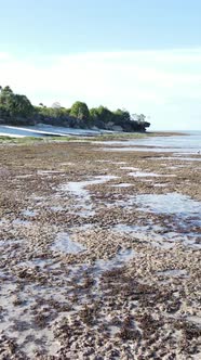 Tanzania  Vertical Video of Low Tide in the Ocean Near the Coast of Zanzibar Slow Motion