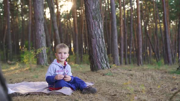 Little boy sitting in the woods playing with a fallen cone