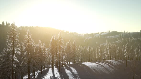 Mountain Landscape on a Winter Sunny Day