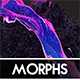 Shape Morphs - GraphicRiver Item for Sale