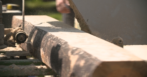 Sawmill Machine Cutting Down a Tree Branch Into a Wooden Beam