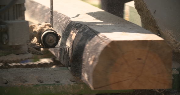 Sawmill Machine Cutting Down a Tree Branch Into a Wooden Beam