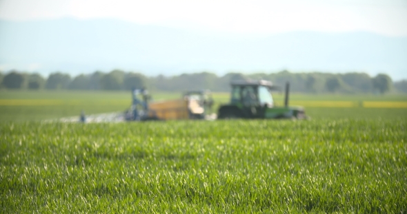 Tractor Spray Fertilize On Field With Chemicals In Agriculture Field.