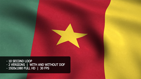 Cameroon Flag Background