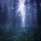 Moonlight in a magical forest 4K - VideoHive Item for Sale
